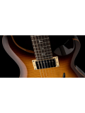 SE DGT (McCarty Tobacco Sunburst), зображення 5